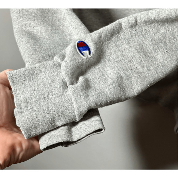 Vintage Champion Urban Outfitters Songbird Gray Hoodie Sz Small Rare - Picture 7 of 11